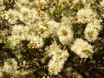 Static electricity Static electricity